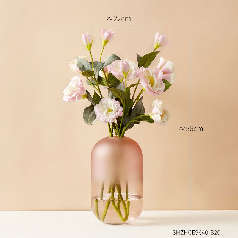 Eenvoudige decoratie van gematteerde glazen vazen, transparante vazen, scandinavische interieurdecoratie, inzetstuk voor thuis, bloemenknutsels: R
