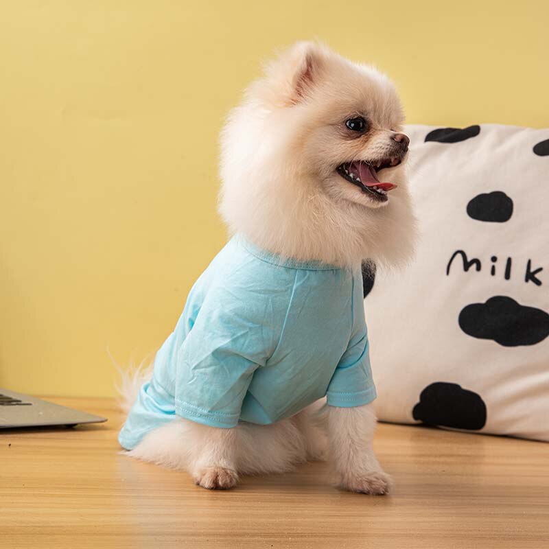 T-shirty dla psów designerskie ubrania dla psów fajne oddychające sznaucer z francuskiego buldoga na małe psy