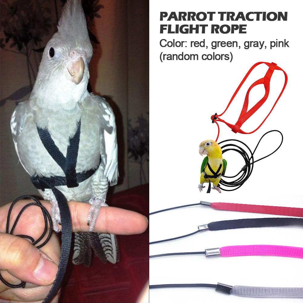 Tren de aves para mascotas, Correa colorida para loros y pájaros, arnés ajustable para exteriores, cuerda de entrenamiento, banda cruzada voladora, productos para mascotas, suministros para aves