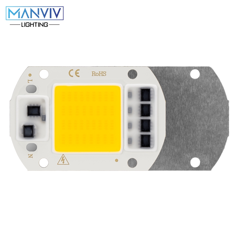 Led Chip 10W 20W 30W 50W Led Cob 220V Groeien Licht Koud Warm Wit Lamp kralen Niet Nodig Driver Flood Light Spotlight Diy Verlichting