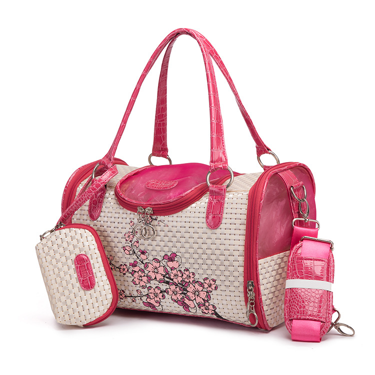Sac de transport Portable pour animaux de compagnie, chat, chien, avec sac à main, voyage en cuir, petit chien, Chihuahua, Teddy, sac de transport
