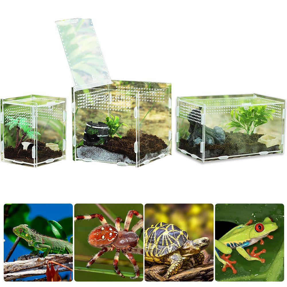 Krybdyr avlskasse akryl gennemsigtig glidebetræk krybdyr tank insekt edderkopper skildpadde firben foderboks terrarium hjem
