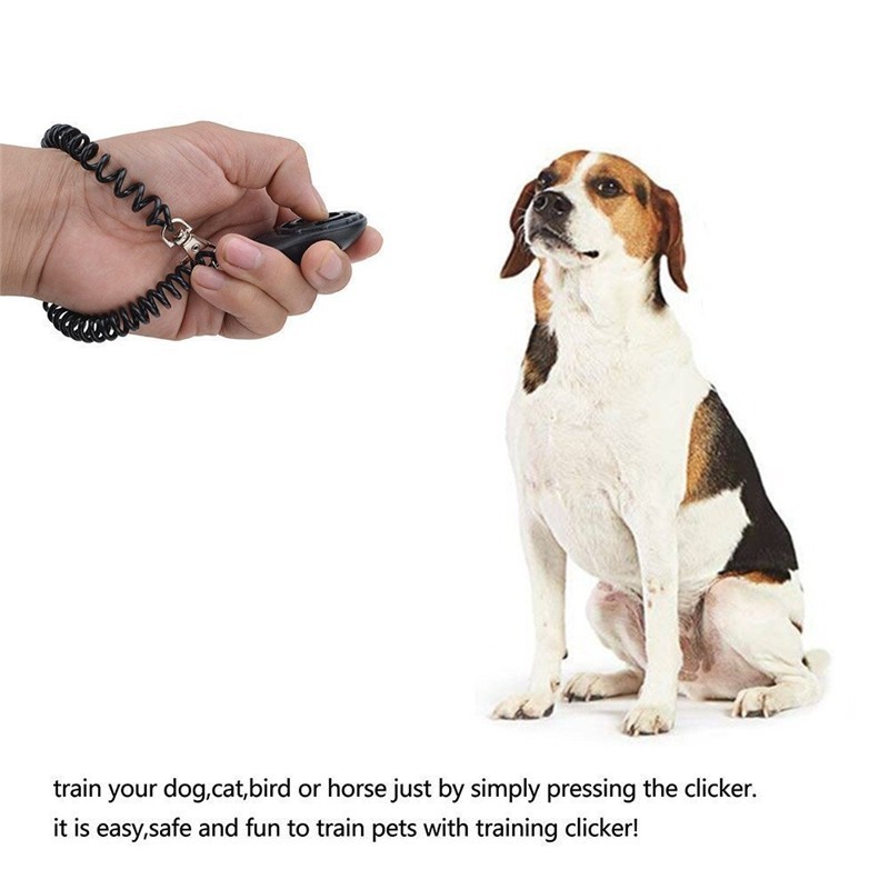 1pc kæledyrs træner kæledyr hund træning hund klikker justerbar lyd nøglering og håndledsrem doggy tog klikker xwbe