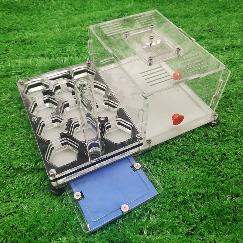 Czarne gniazdo mrówek mrówka o strukturze plastra miodu mrówka akrylowa mrówka mrówka mrówki mrówki mrówki