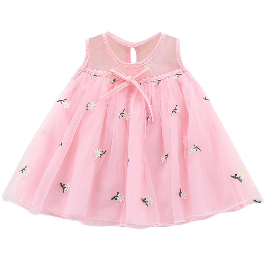 Baby Baby Meisje Mouwloze Borduren Bloem Bloemen Tule Prinses Jurk: Roze / 18m