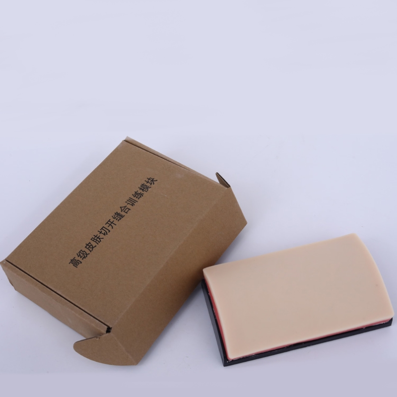 Venipuncture IV Injection Training Pad Realistic Silicone Pad Education Use Only