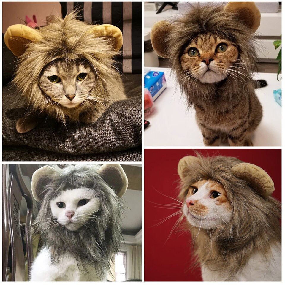 Sød løve manke kat paryk kasket hat til katte hunde halloween jul cosplay tøj kæledyr festival fest dress up kæledyr forsyninger