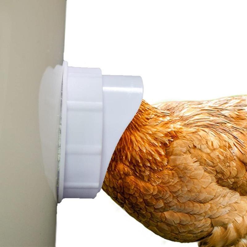 DIY Chicken Feeder Rainproof Poultry Feeder Port G Grandado
