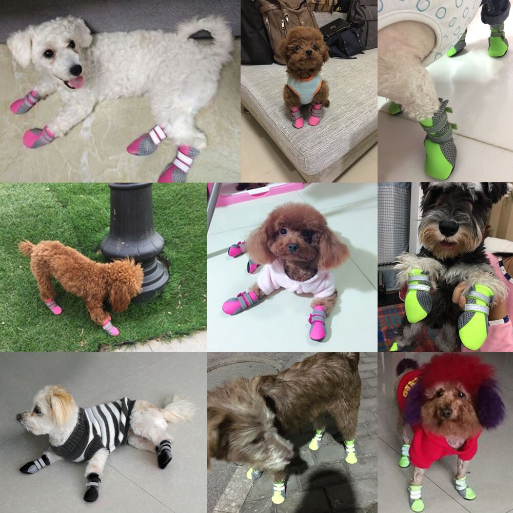 Chaussures pour petits chiens Chihuahua Yorkshire | 4 pièces, chaussures pour chiots, bottes réfléchissants et antidérapantes, chaussettes pour animaux domestiques