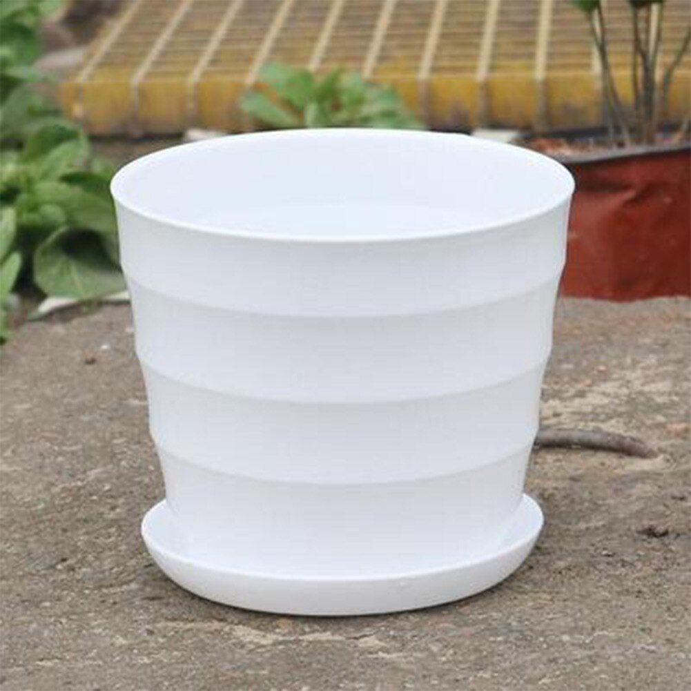 Mini caja de plástico blanca para cultivo, maceta para flores, plantas suculentas maceta para, decoración para el hogar, macetas para guardería, 10 piezas
