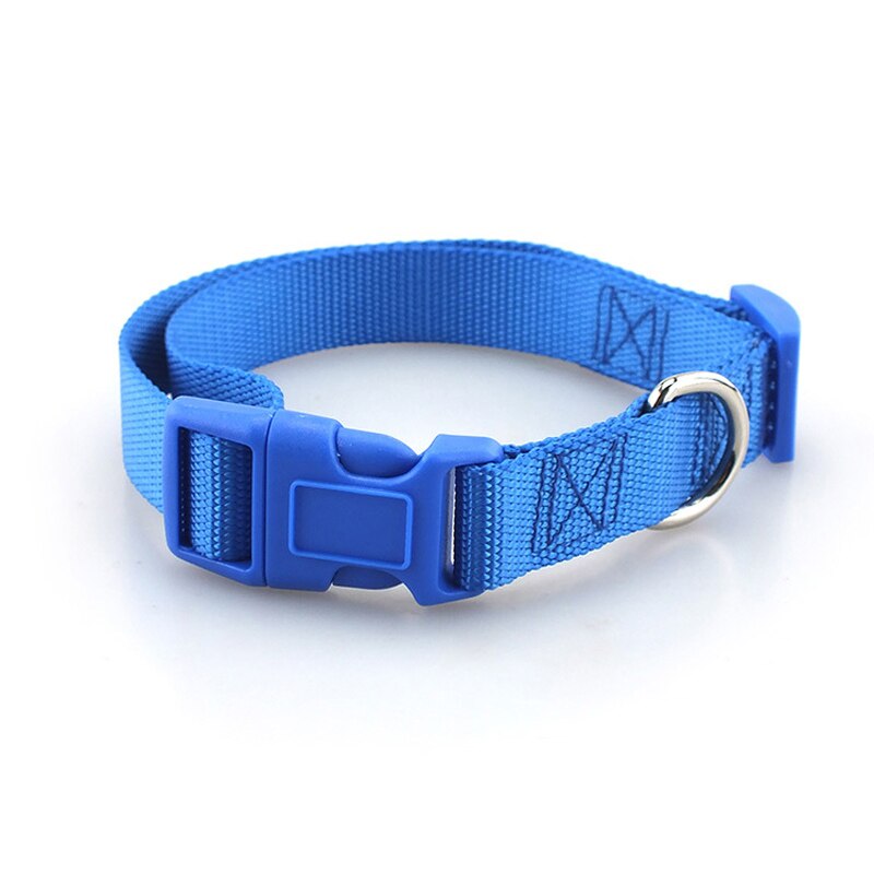 Klassiskt solid hundhalsband för hundar i nylon för små medelstora hundar kan matcha koppel och sele med snabbsnäppspänne: M 1.9cm / Blå krage
