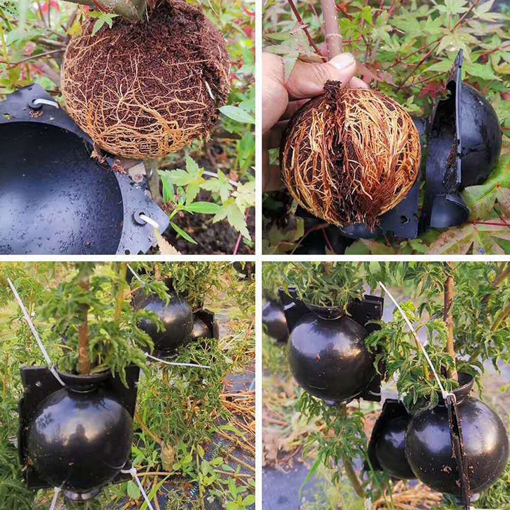 Plantenwortelbal planten enten kweekbak apparaat plantenwortelkweekkoffer tuinrozen fruitbomen 5/8/12cm diameter