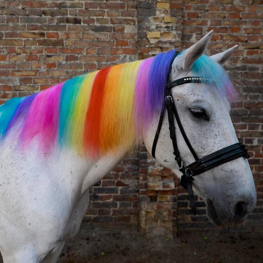 Horse Hair Chalk Temporary Washable Hair Coloring ... – Vicedeal