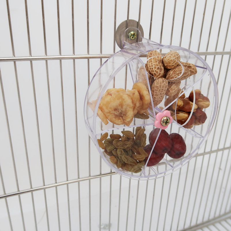 Roues de jouets pour perroquets rotatifs pour animaux de compagnie, morsure à mâcher pour oiseaux, boîte de nourriture de recherche, mangeoire à Cage, accessoires pour oiseaux: WHITE