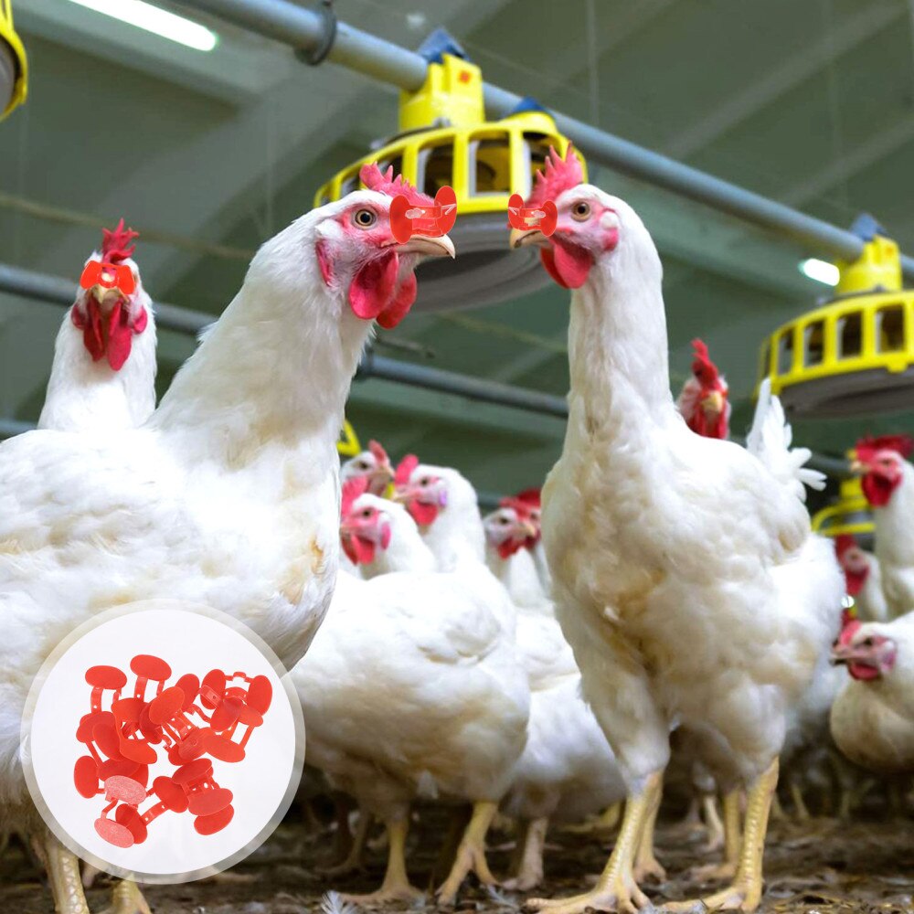 101 pièces/ensemble Pinless Yeux Anti-picage Poussin Masque Pour Les Yeux avec des Pinces pour Coq: Default Title