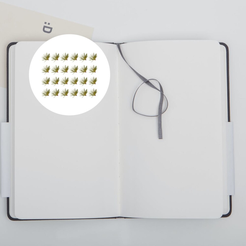 24Pcs Mooie Natuurlijke Groene Diy Ambachten Plant Sample Dennennaalden Bladeren Handgemaakte Accessoires Voor Thuis Hetel Telefoon Case