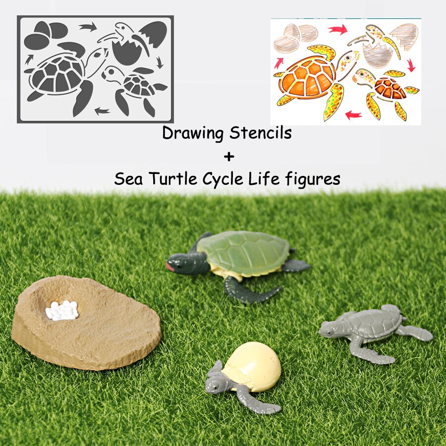 Simulation Animals Life Cycle Model Ladybug Butterfly Hen Turtle Frog Ant Figurine and Stencils Drawing Educational Toys: 1Turtle 1Stencil