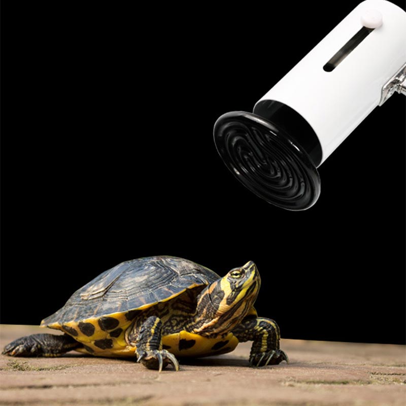 Lámpara de infrarrojos lejanos para reptiles, lámpara de cerámica para calefacción, preservación del calor, Bombilla de calefacción para mascotas, caja de cría, lámpara cálida
