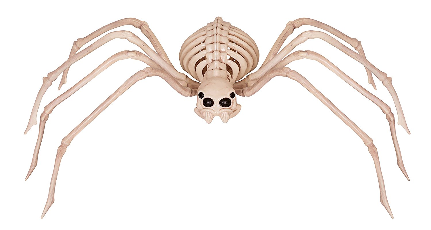 Fantasy Bone Skeleton Spider Thuis Halloween Party Decoratie