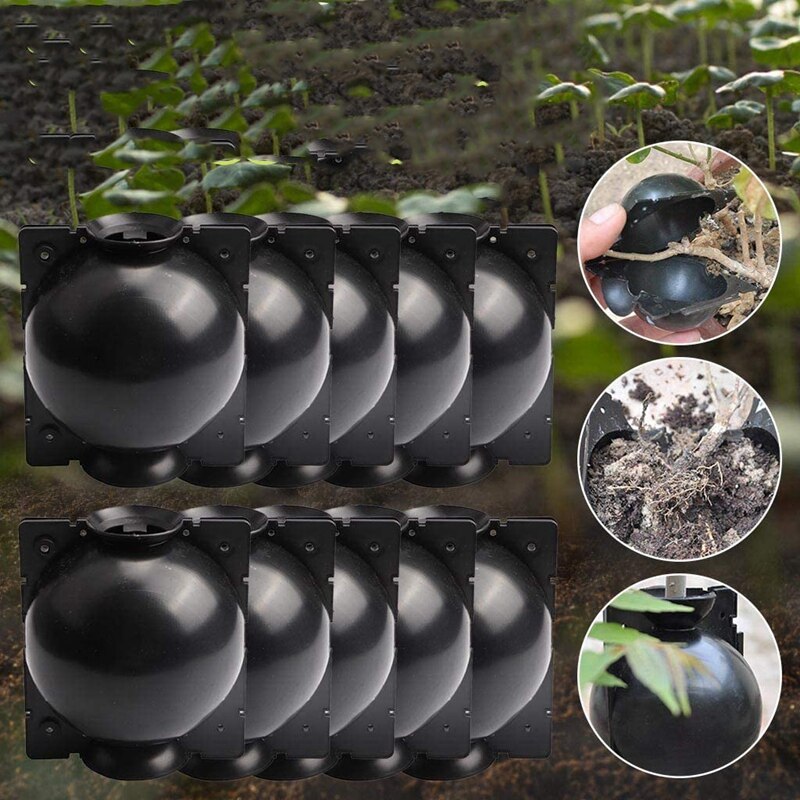 Plant High-Pressure Propagation Box Garden Tree High-Altitude Compression Branch Propagation Bulb Rooting