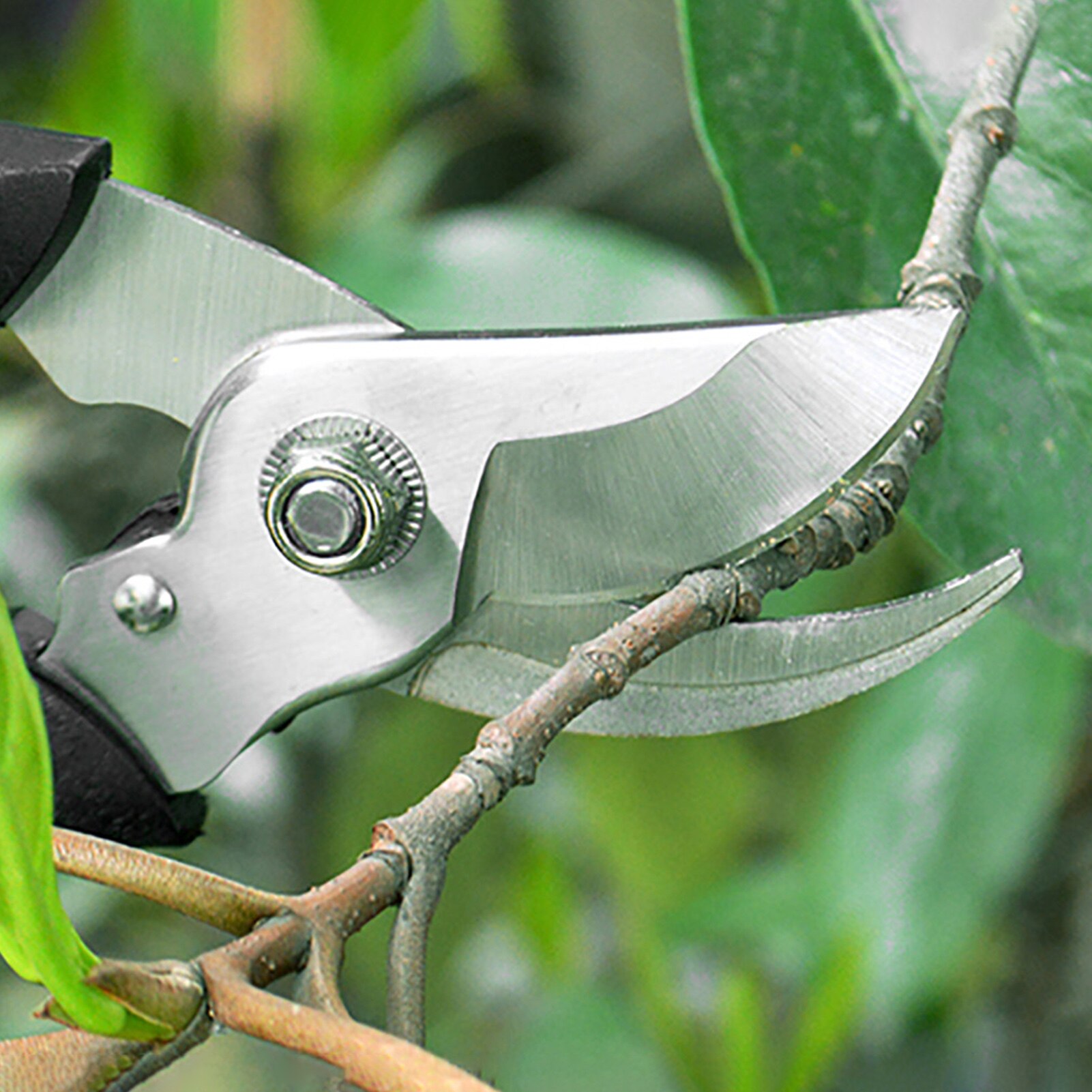 Pruning Shears Tree Branch Pruner Labor Saving Gardening Tool Stainless Steel high hardness good toughness and quick cutting