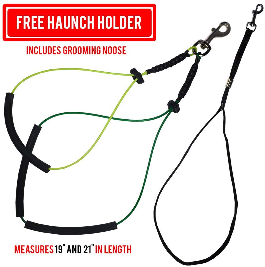 No-Sit Haunch Holder Steel Wire Rope Pet Dog Grooming Arm with Clamp Restraint for Large and Small Cat Dogs