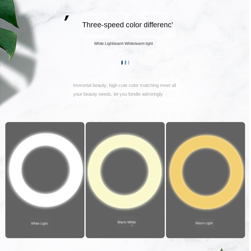 Schijf ptz desktop invullichtstandaard anchor beauty live live invullichtstandaard