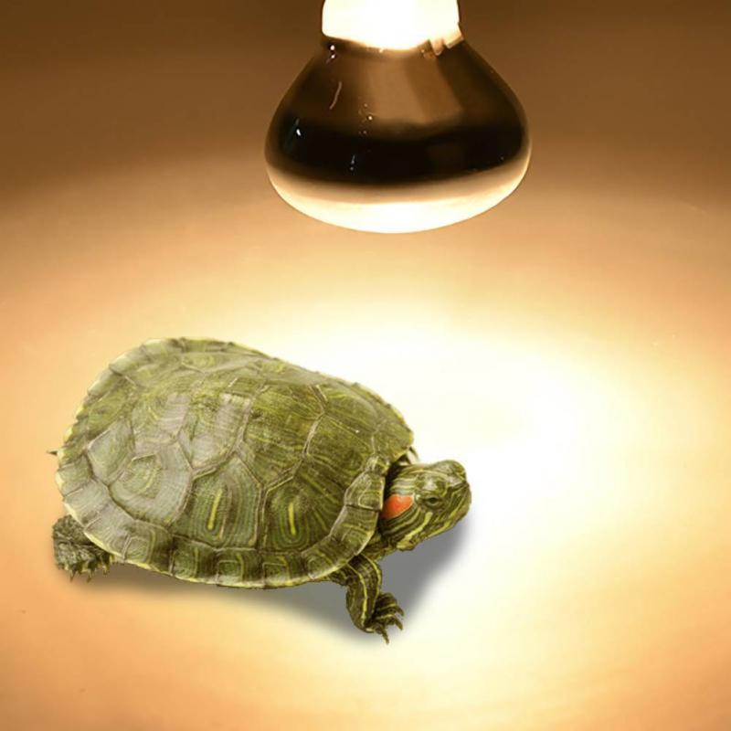 25/50/75/100W UV Reptile Lamp Bulb Turtle Basking UV Light Bulbs Heating Lamp For Amphibians Lizards Snake