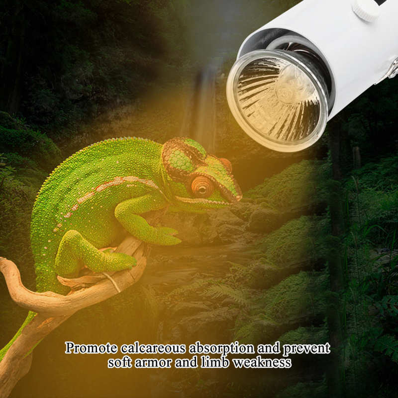 Tortoise Tank Light UVA Light CN UVB Light Reptile Lizard for Turtle