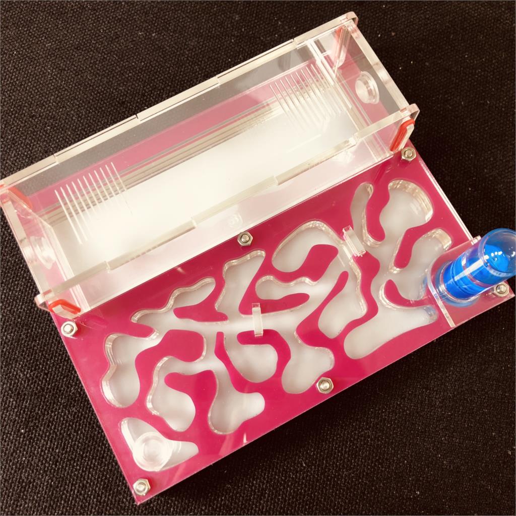 150mmx110mm test tube Moisture big space Ant Nest ,Ant Farm Acrylic, Insect ants Villa House Ants Ecological Workshop: pink