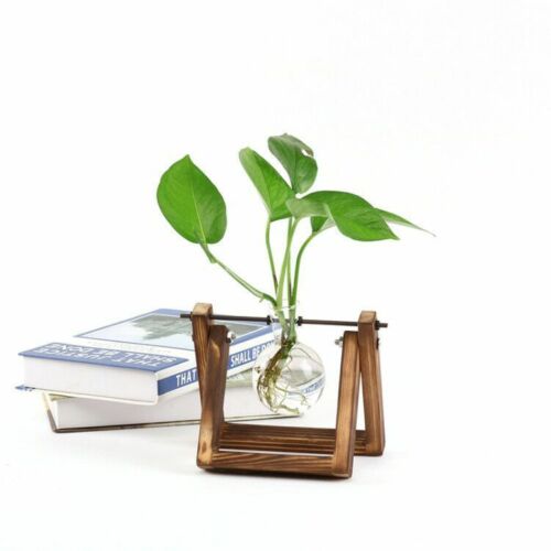 soporte de madera vidrio terrario contenedor hidropónico maceta para flor florero de mesa DIY Home Office decoración de boda
