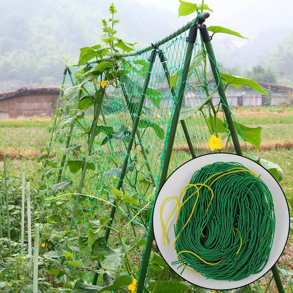 C-melon frukt morning glory vinstock netto blomma vinstock gurka spaljé växtnät för växt klättring trädgård leveranser anti fågel