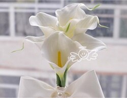 6 stk calla lilje blomster brude bryllup buketter formell brudepike hage kirke Strand bryllupsfest hvit gul blondere: Hvit