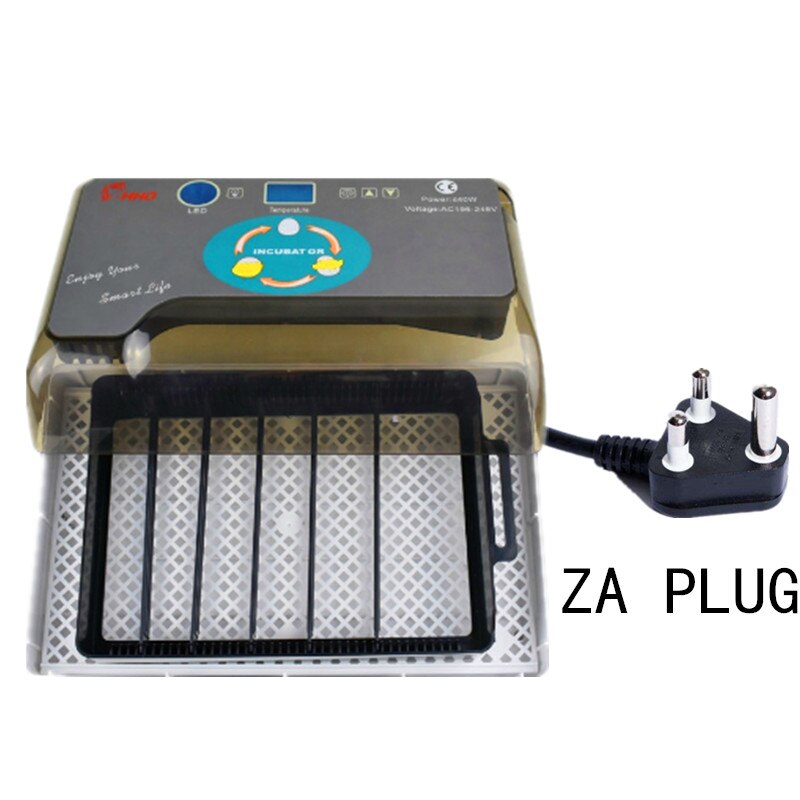 quail incubator: ZA plug