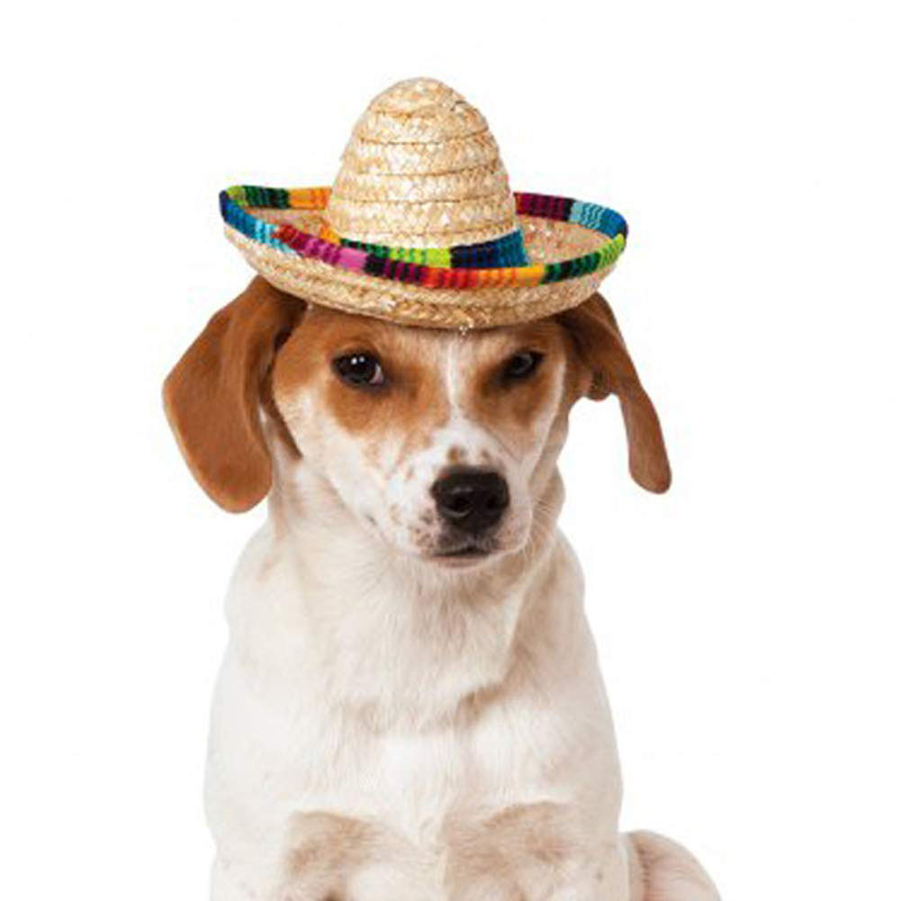 Sød mini hvalp hund kat halm vævet solhue mexicansk sombrero kæledyrsforsyning sød