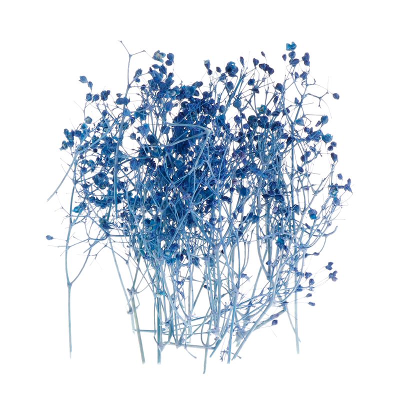 Relleno de flores secas hechas a mano, resina epoxi artesanal, accesorios de cristal UV, materiales de decoración, 1 caja: Dark Blu