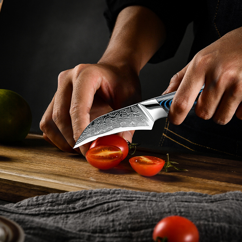 Grandsharp 3.5 Inch Paring Knife vg10 Japanese 67 Layers Damascus Steel Peeling Fruit Kitchen Knife with G10 Handle