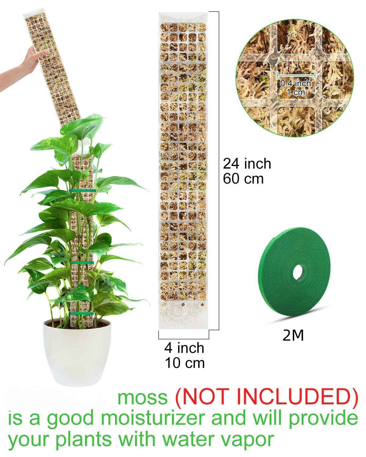 Planter mosestang hageemne blomst planteklatrere bonsai tilbehør potter veiledere, for plantekasser planter vekstholder støtte