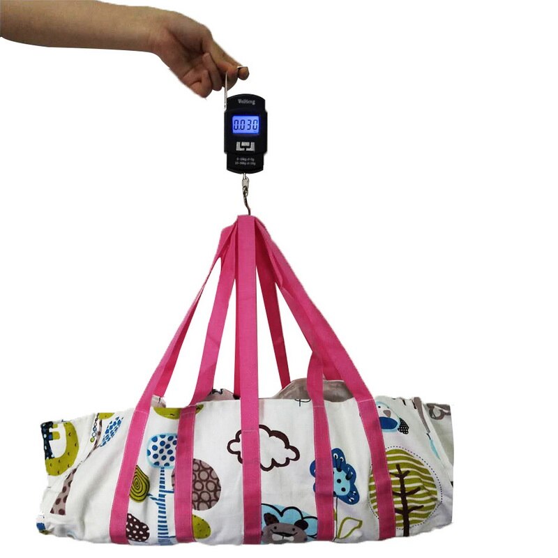 50Kg/110 Lbs électronique Portable LCD Balance numérique Double précision bagages poids balances balances d'équilibre pour crochet suspendu voyage