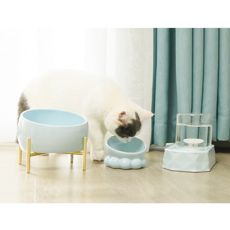 Mooie kom voor kat hond bescherming keramiek nekwervel verhoogde standaard huisdier puppy kitten kommen eten drinken water voederbak