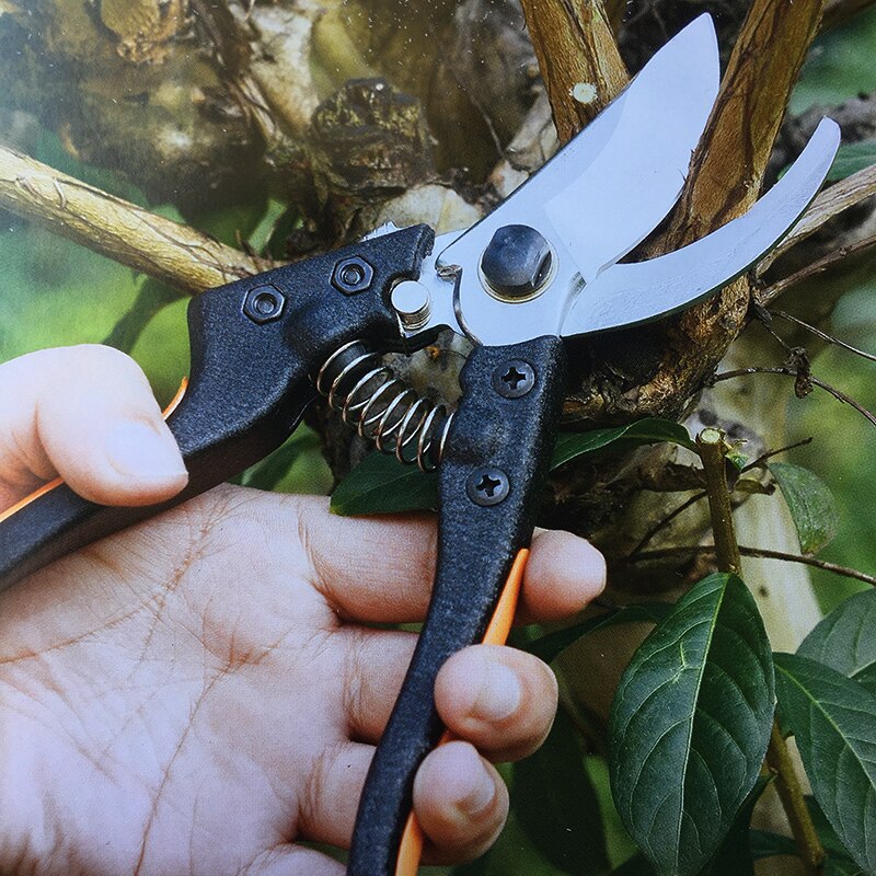 Top Pruning shears Grafting Cutting Tools Fruit Tree Garden Scissors Garden Shear Hand Shear