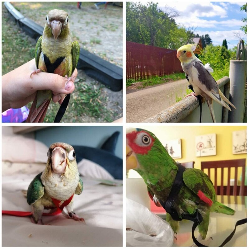 Uprząż i smycz dla ptaków regulowane szelki dla papug smycz Anti-Bite lina treningowa ptak na zewnątrz latające pasy trakcyjne