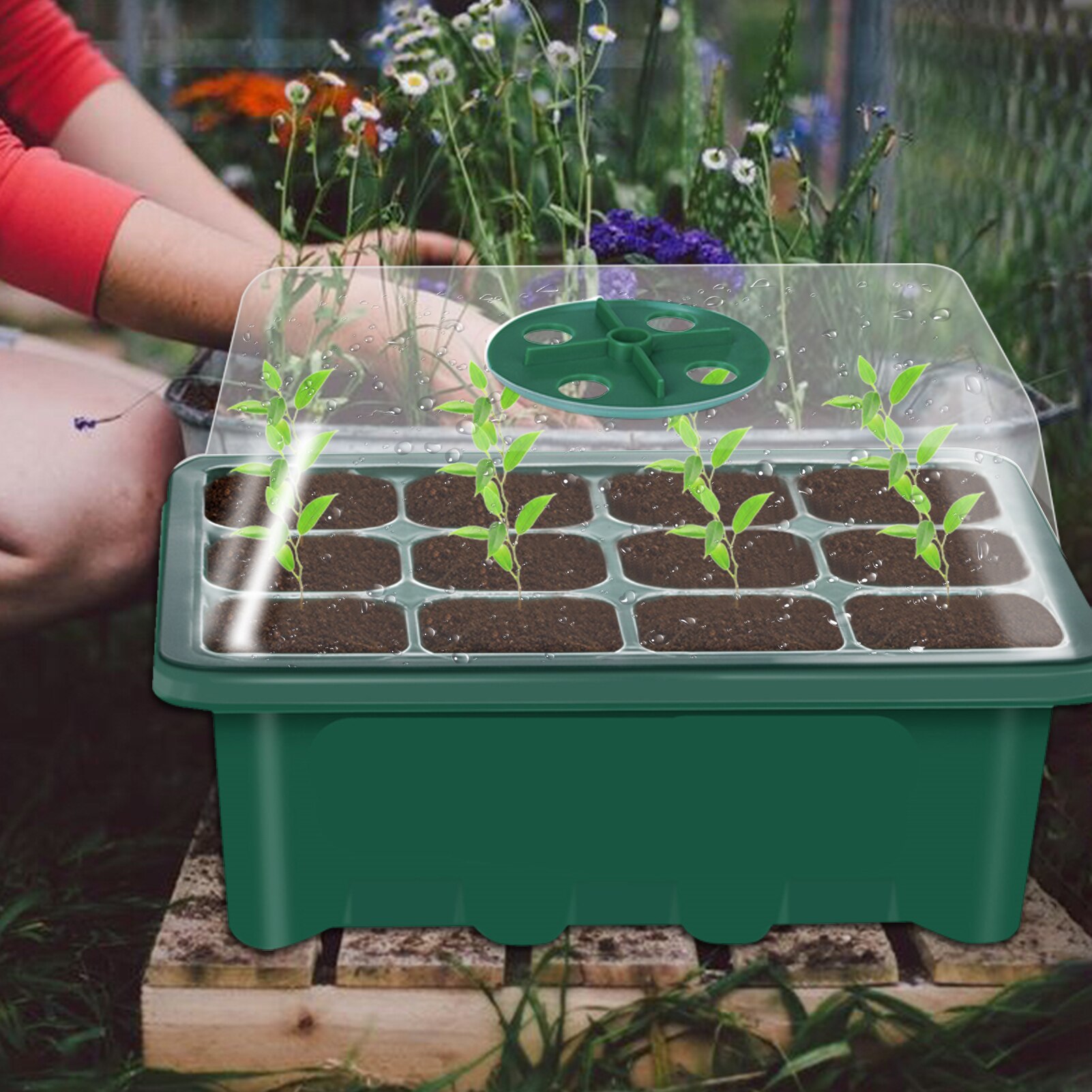 Germination Box Seed Starter Kit 10PCS Plastic 12 Cells Nursery Pots With Dome And Base Gardening Supplies Seedling Trays