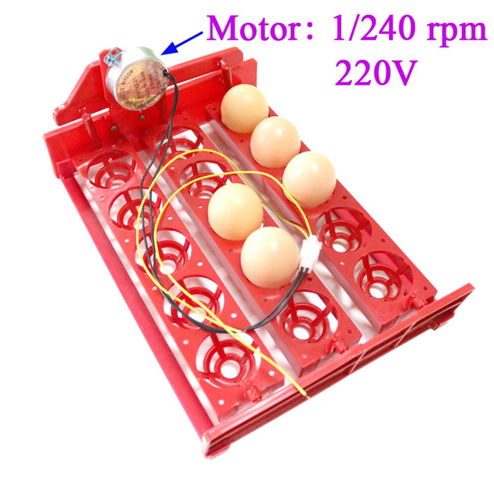 15 Eggs Automatically Incubator Turn Eggs Tray 220V/110V/12V Motor Chicken Birds Eggs Hatching Equipment Poultry Incubator: 1I240 rpm 220V