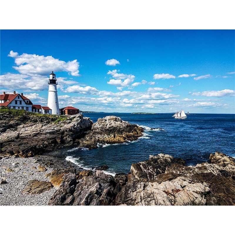 300 pieces of paper puzzle adult animal landscape puzzle, 51x34cm assembled animal picture puzzle educational toy for xmas: 05