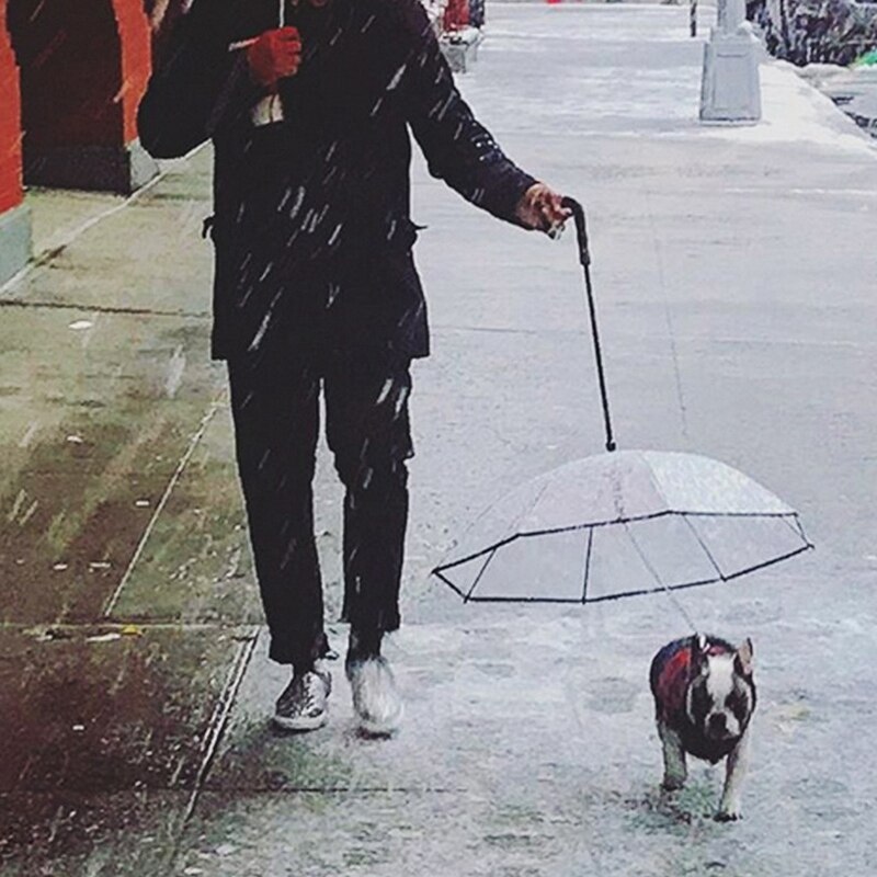 Pet Paraplu, Hond Wandelen Paraplu, Met Leiband, Geschikt Voor Kleine Honden