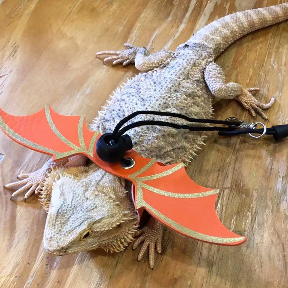 3pz corda di trazione in pelle lucertola regolabile con ali rettile guinzaglio drago barbuto imbracatura anti-morso guinzaglio forniture per animali domestici