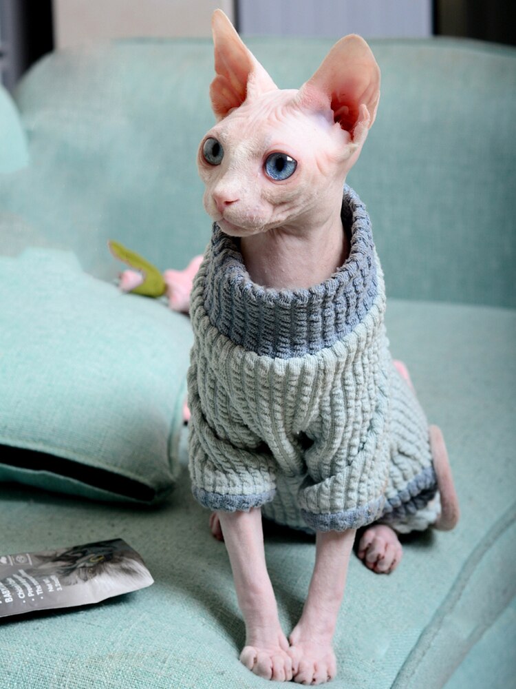 Sweat à capuche pour chat, vêtement d&#39;hiver et doux, pyjama Sphynx, costume pour chaton Sphinx: Bleu / S