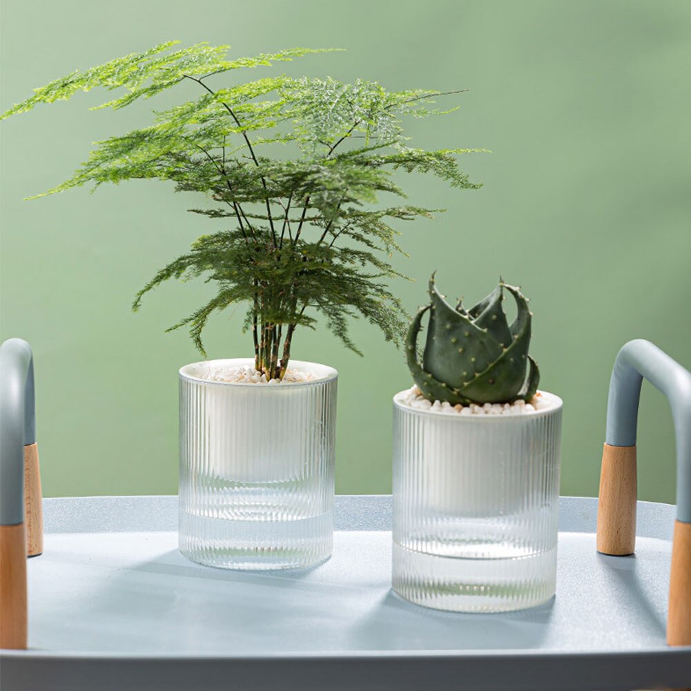 Self-watering Transparent Visual Plant Pot Automatic Water Absorption Hydroponic Pot Flowerpot For Home Garden Deco