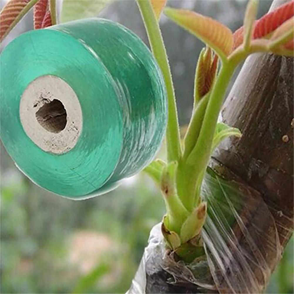 Cinta adhesiva de PVC para injertos de árboles frutales, cinta para sujetar ramas y jardinería, accesorios para injertos, 3/4/5CM